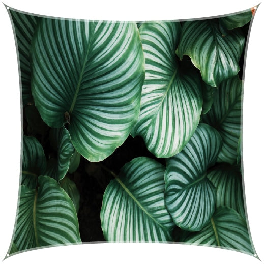 Tarp (schaduwdoeken)