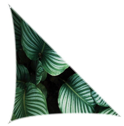 Tarp (schaduwdoeken)