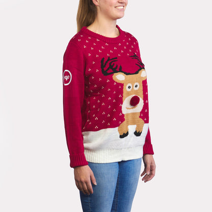 Kersttruien geborduurd vanaf 5 stuks